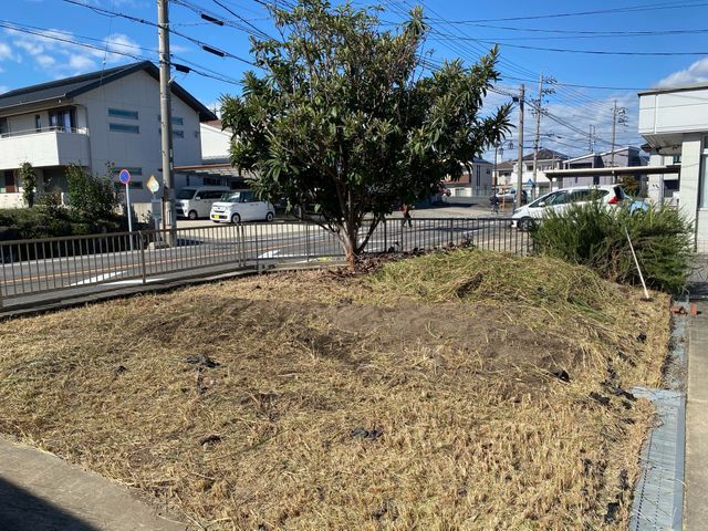 落ち葉掃除が面倒・日当たりが悪い・倒木の不安、庭木一本から丁寧に伐採します