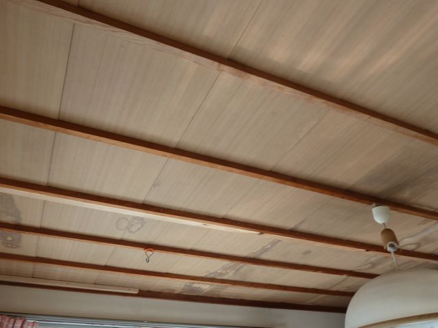 プロの技を見てください。サービスの画像