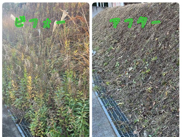 地域密着！経験10年以上、2級造園施工管理技士による草刈り　損害保険加入済み