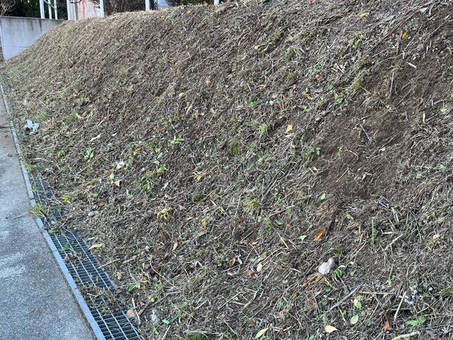 地域密着！経験10年以上、2級造園施工管理技士による草刈り