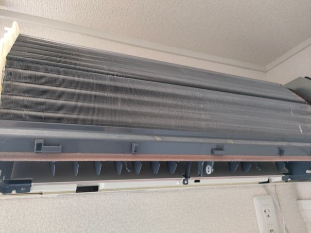 【女性スタッフ同行可◎】お掃除のプロがあなたのお困りごとを解決します！