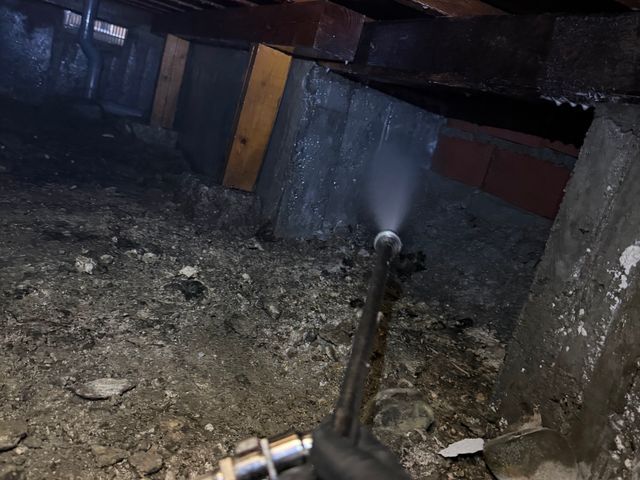 シロアリ予防、駆除消毒