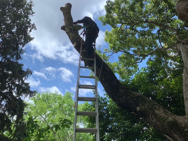【業界歴25年の経験実績】全て自社対応◎一級造園技能士が在籍しています！