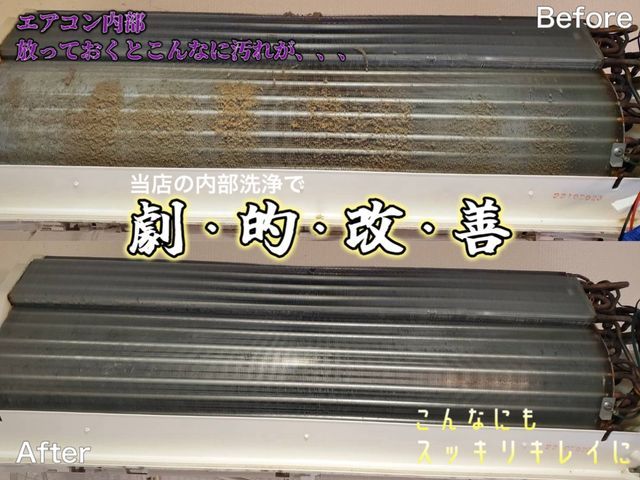 100％自社スタッフ対応！内部のカビを徹底洗浄