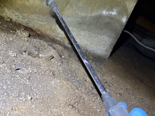 シロアリ許せない！あなたのお家を守ります。駆除歴10年凄腕ハンターにお任せを！