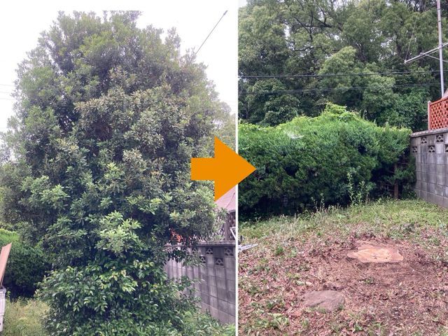 【そろそろ庭の植木を切らないと・・】とお考えの方へ、一本からでも対応いたします！