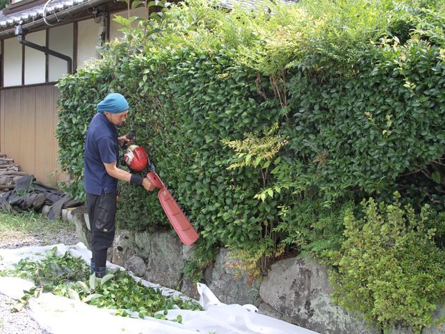 伸びた生垣をスッキリ綺麗に！経験と知識を活かして迅速、丁寧に作業いたします。
