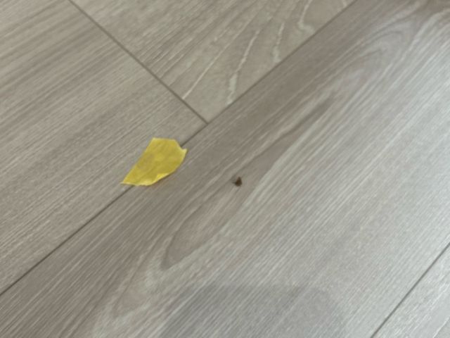 即返信・丁寧説明で安心！店長訪問◎富田林市発！