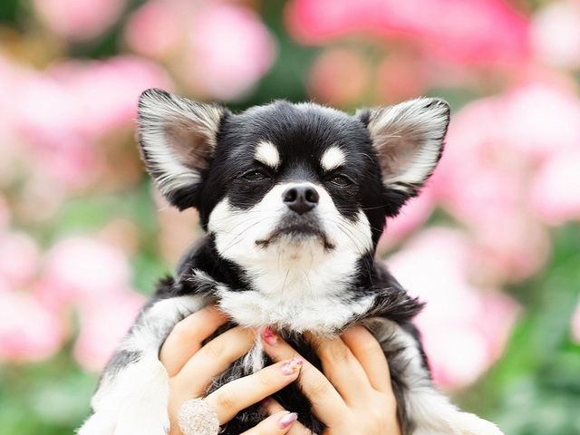予約対応～撮影・納品まで当社スタッフがすべて対応します