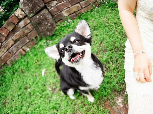 予約対応～撮影・納品まで当社スタッフがすべて対応します