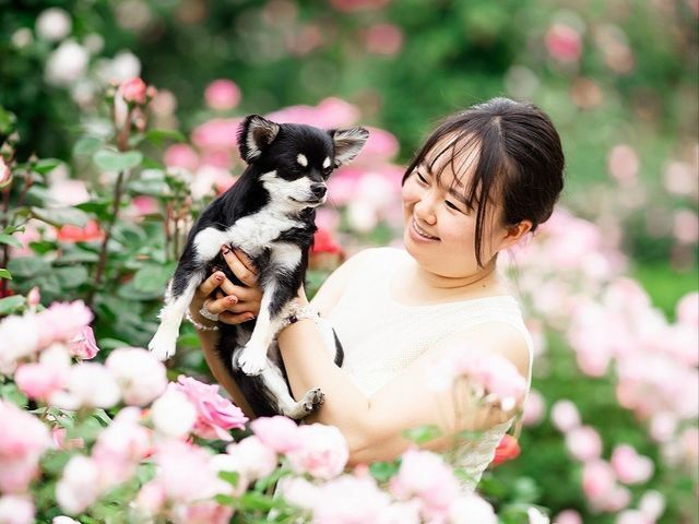 予約対応～撮影・納品まで当社スタッフがすべて対応します