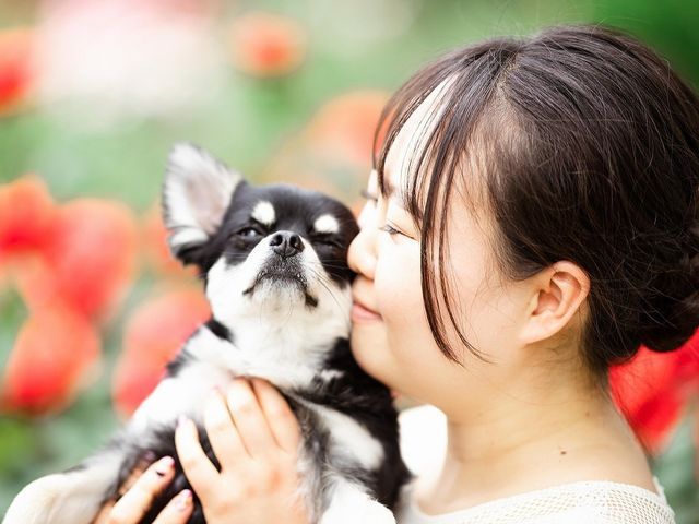 予約対応～撮影・納品まで当社スタッフがすべて対応します