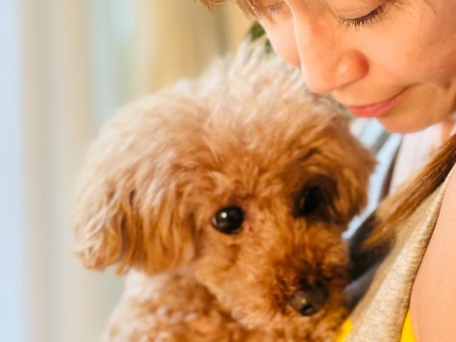 飼い主様、わんちゃんのニーズに合わせて、お世話の時間を自由に調整できます！