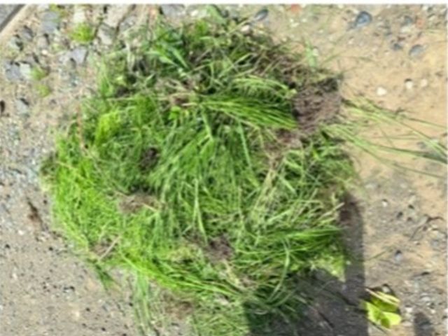 【湘南エリア密着】手洗いにて丁寧にクリーニング致します。高圧洗浄も可能！