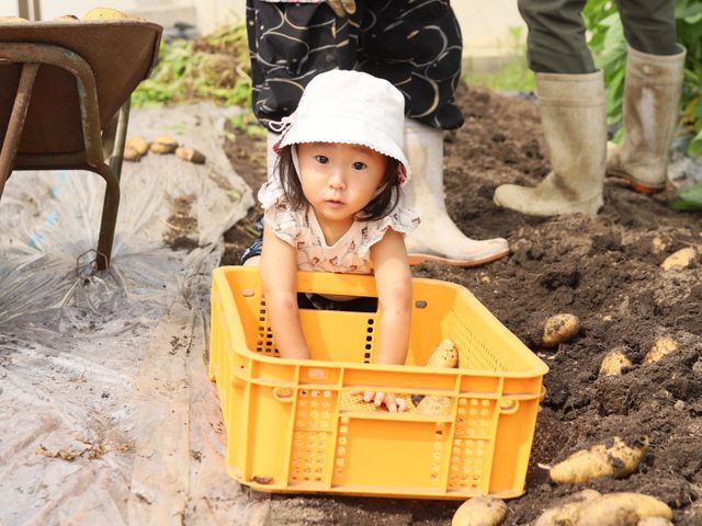 【市役所広報出身】記録写真からポートレートまで
