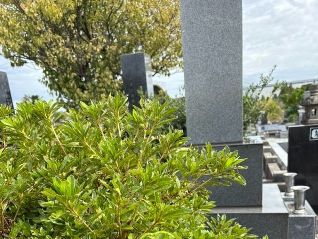 安心丁寧・心を込めてお墓参り・清掃を行います。【お墓参り代行サービス】