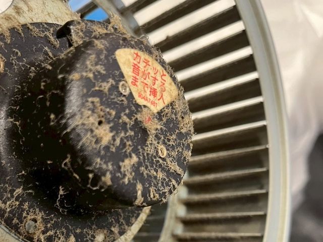 【キッチン＋換気扇】徹底洗浄！セットがお得◎