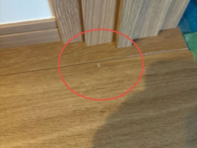 【9月出店☆】店長訪問◆損保◎時間外・地域外可/大手リペアFC加盟店