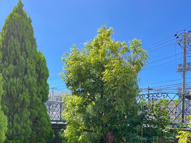 プロの技術でご満足いただけるように心を込めて作業いたします