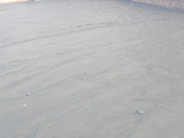 創業100年以上の信頼と実績！安全第一でお庭を美しく整えます