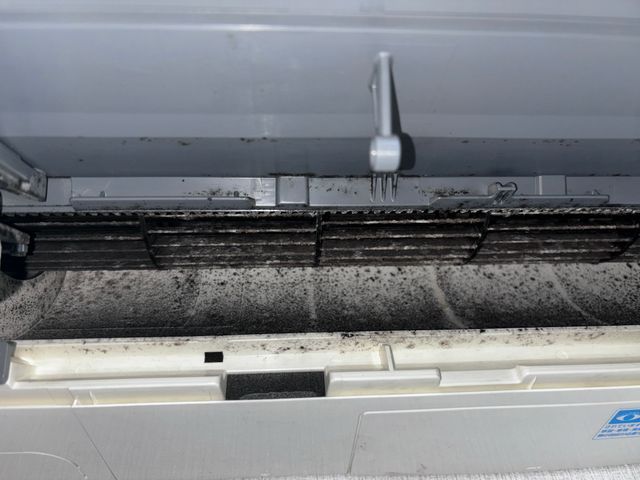 分解洗浄でカビ汚れスッキリ｜複数台割引あり｜防カビ無料｜安心対応｜