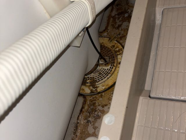 浴室＋換気扇（レンジフード）クリーニング人気の水回り2点セット