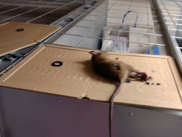 【年中無休・24時間対応】業歴20年以上！経験豊富な技術者が解決!!見積り無料