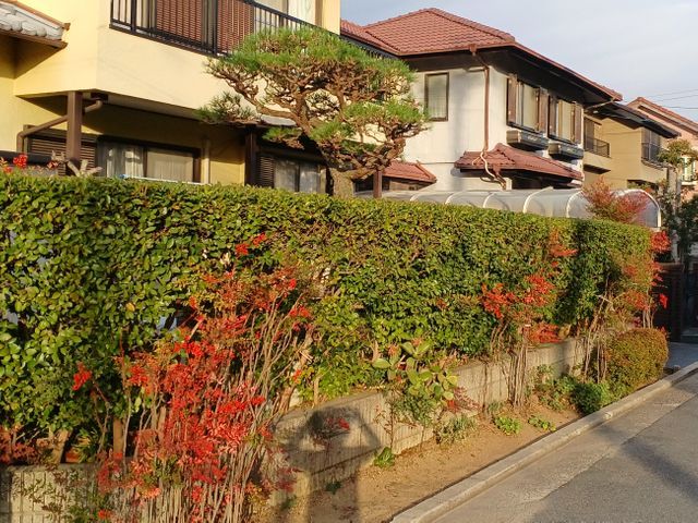 「切りすぎないでほしい」「形を残したい」など、細かな要望も遠慮なくお伝え下さい。