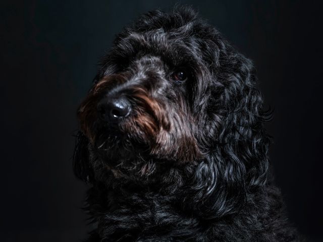 有名モデル達が通うフォトスタジオ☆三児のパパが対応★1月2月限定価格☆