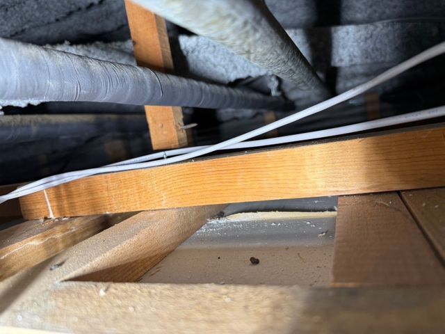 【本日空き有り】成虫駆除から侵入対策まで幅広く一括対応！年間３０００件以上