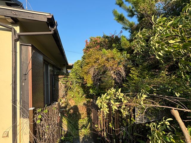 【圧倒的な対応力が売り】庭木の伐採承ります！