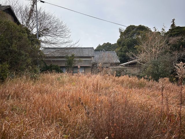 手入れが行き届かない場所の草刈り