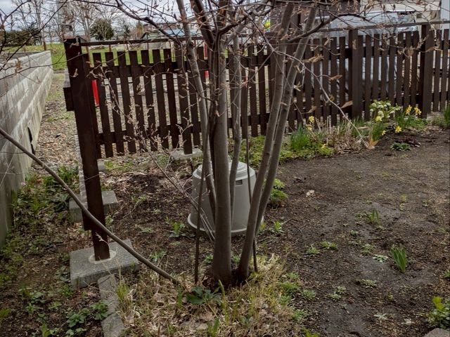 『思い入れのある庭木を剪定して木工品に』あなたの大切な庭木を形として残せます！