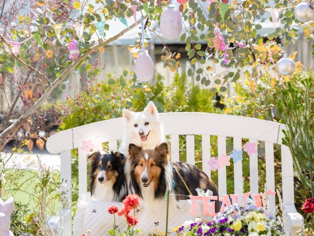 動物大好き女性フォトグラファーがあなたのペットを撮影いたします