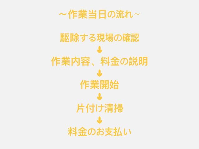【追加費用一切なし！！】駆除、高所、再発保証すべてコミコミです！！