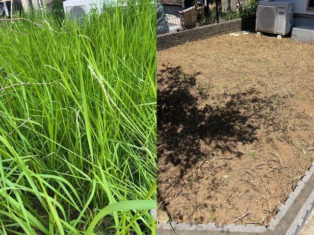 ★我孫子の草むしりは私にお任せ下さい♪