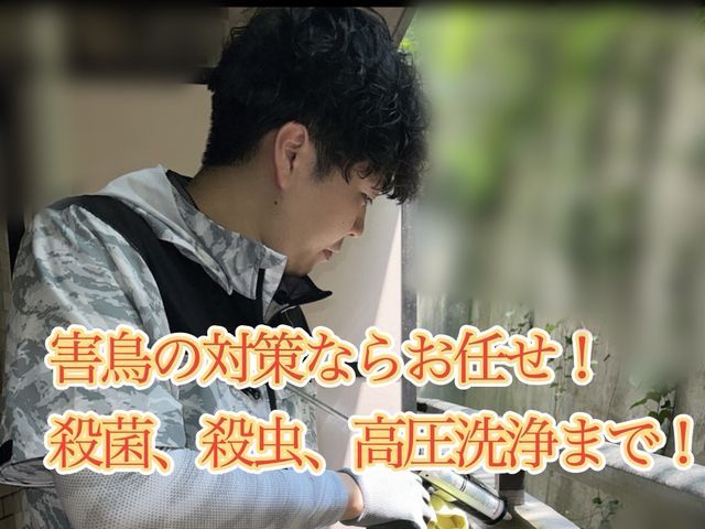 翌日可！有資格者によるカラス駆除&防止策！獰猛なカラスからの被害0目指す専門家！