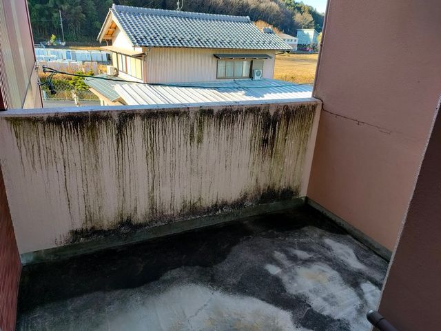 【PayPay使えます】年中無休！外壁、塀高圧洗浄！苔、黒ずみ落とせます！