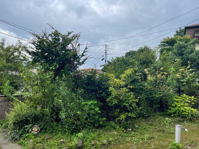 庭木のことならお任せください。丁寧な剪定＆お見積もり無料