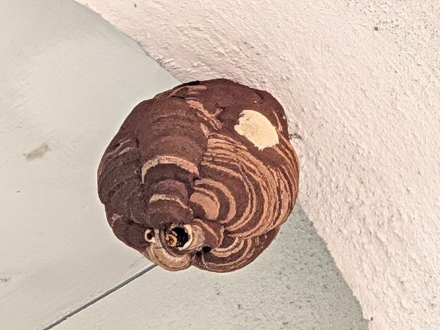 豊富な経験と知識で安心！何でも当店へお任せください！