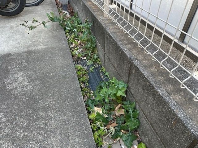 【自分ではどうしようもない時に】明朗な料金体系◎丁寧な作業