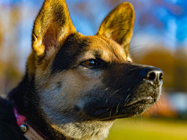 お客様ファーストで心に残る思い出づくり！