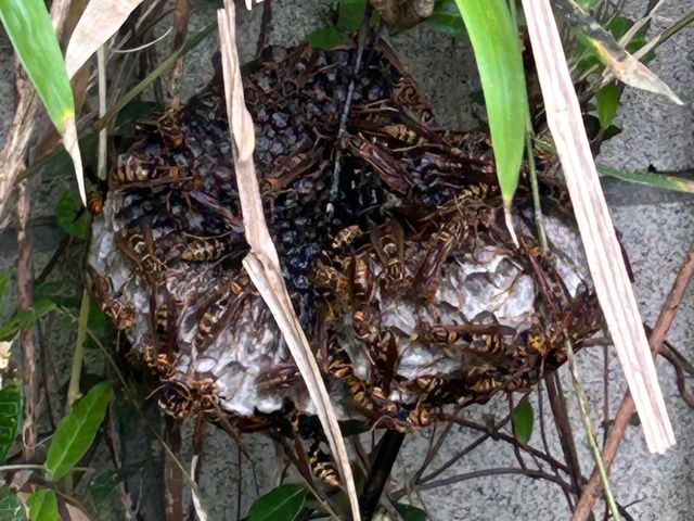便利屋として幅広く対応　迅速・丁寧！対応地域外もご相談可能