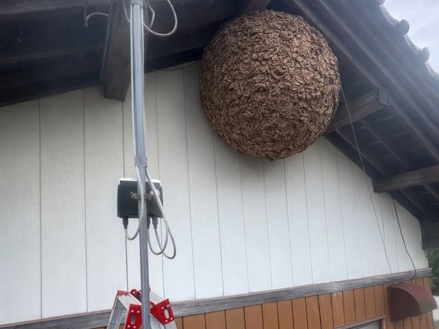 便利屋として幅広く対応　迅速・丁寧！対応地域外もご相談可能