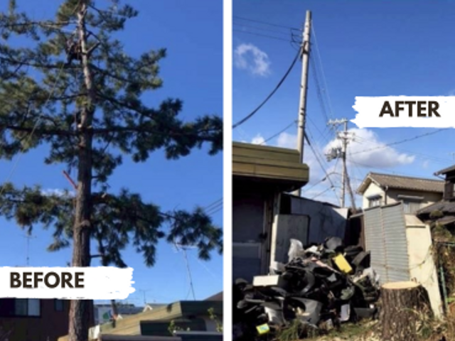 庭木の伐採・抜根｜根までしっかり処理！仕上げ確認で納得の施工
