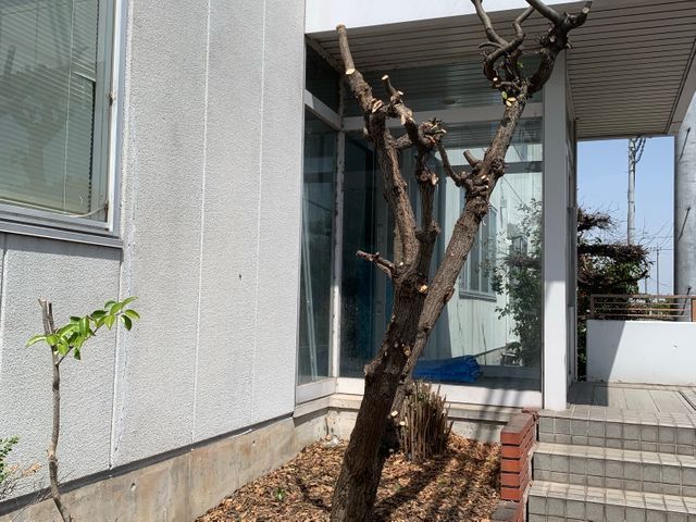 営業時間外・地域外も柔軟に相談可能で安心