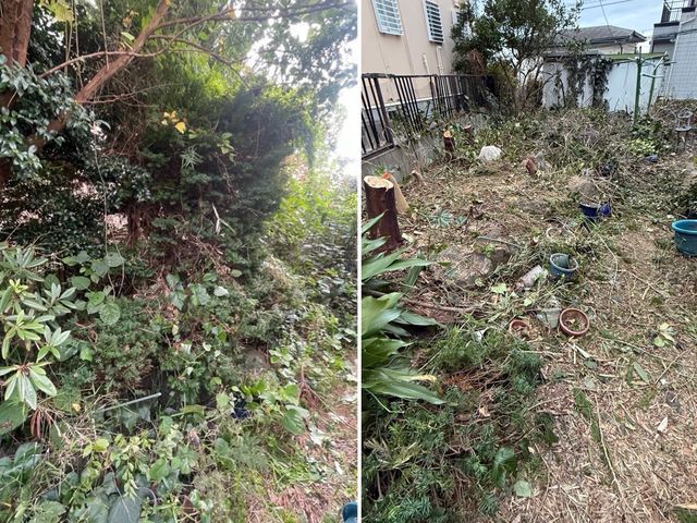 ★伐採抜根お任せ下さい★重機の入れない高所、狭い通路などご相談可能です！！