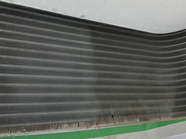 【開業記念】大手勤務経験からプロの清掃をいたします！★保険加入で安心★