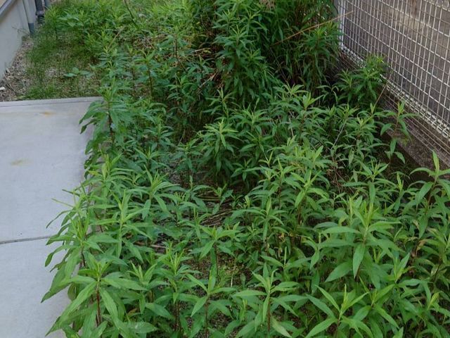 【業歴14年の経験と実績】営業時間外も対応OK・アフターフォローもばっちり