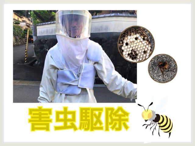 蜂の巣駆除なら当社にお任せください！